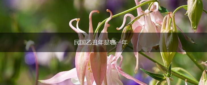民国乙丑年是哪一年,第1张