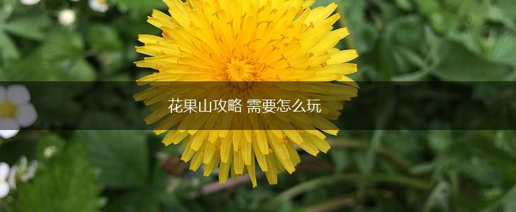 花果山攻略 需要怎么玩,第1张