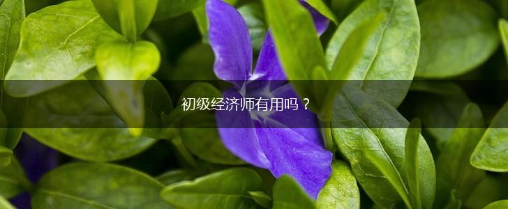 初级经济师有用吗？,第1张