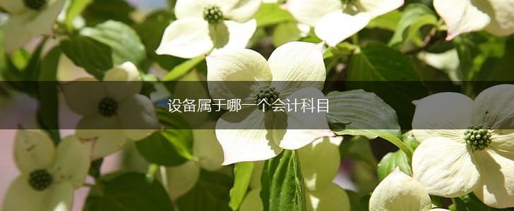 设备属于哪一个会计科目,第1张