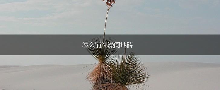 怎么铺洗澡间地砖,第1张