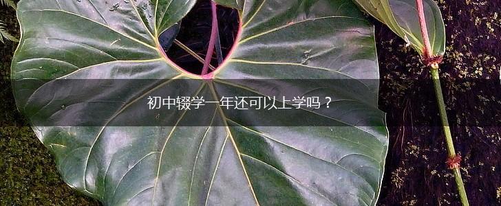 初中辍学一年还可以上学吗？,第1张