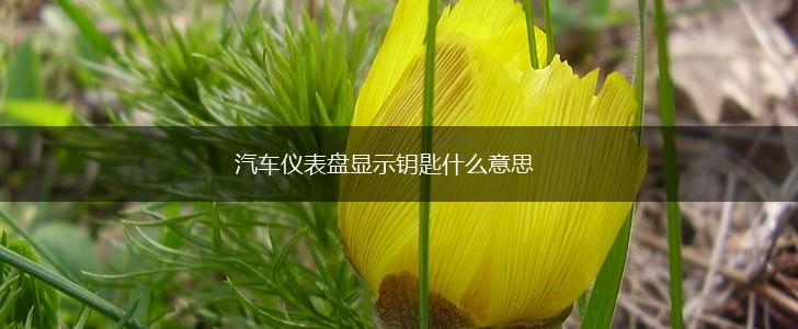 汽车仪表盘显示钥匙什么意思,第1张