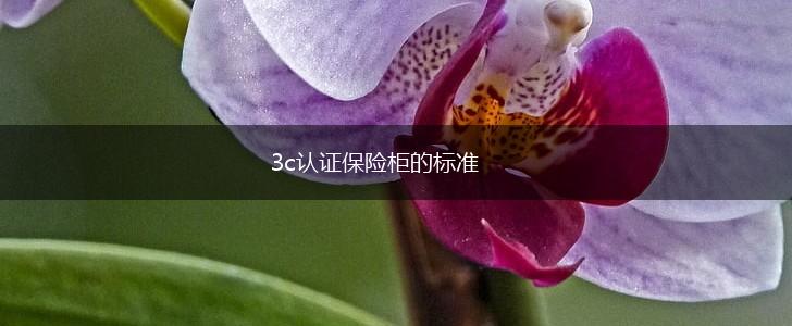 3c认证保险柜的标准,第1张