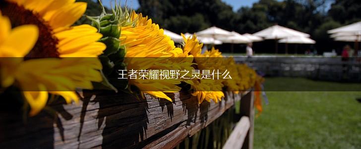 王者荣耀视野之灵是什么,第1张