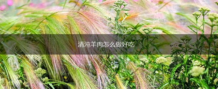 清沌羊肉怎么做好吃,第1张