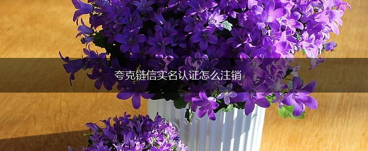 夸克链信实名认证怎么注销,第1张