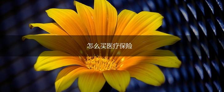 怎么买医疗保险,第1张