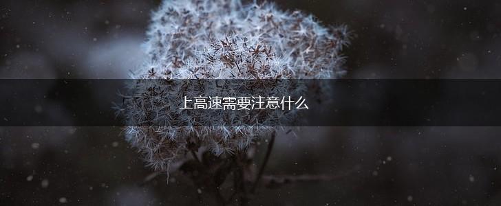 上高速需要注意什么,第1张