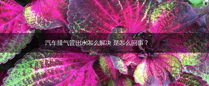 汽车排气管出水怎么解决 是怎么回事？,第1张
