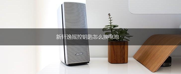 新轩逸摇控钥匙怎么换电池,第1张
