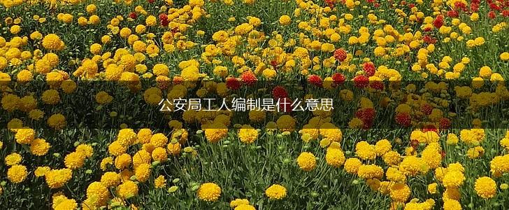 公安局工人编制是什么意思,第1张