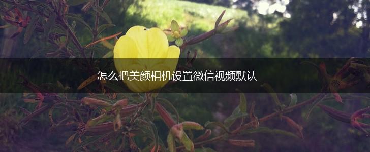 怎么把美颜相机设置微信视频默认,第1张