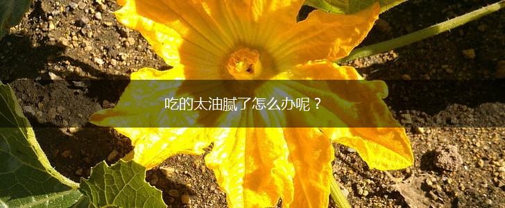 吃的太油腻了怎么办呢？,第1张