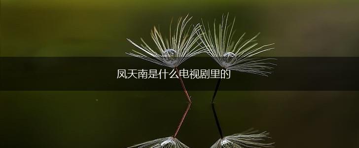 凤天南是什么电视剧里的,第1张