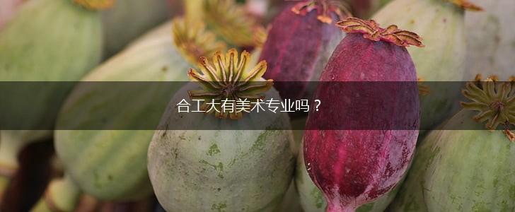 合工大有美术专业吗？,第1张