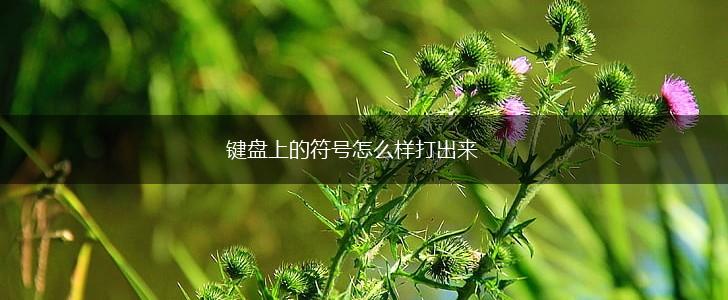 键盘上的符号怎么样打出来,第1张