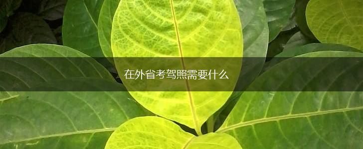 在外省考驾照需要什么,第1张