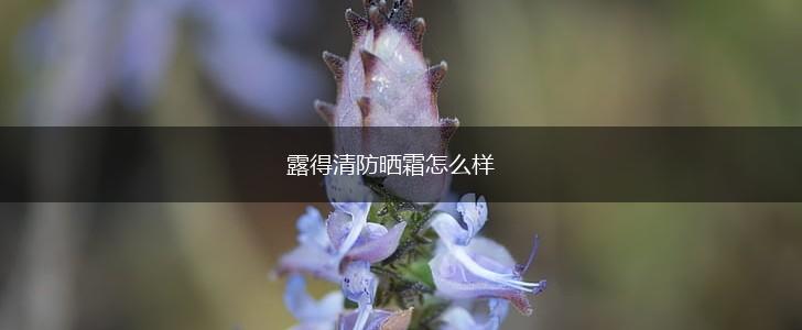 露得清防晒霜怎么样,第1张