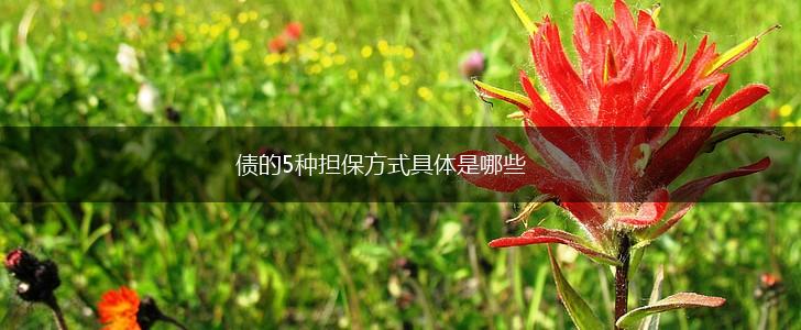 债的5种担保方式具体是哪些,第1张