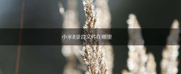 小米8录音文件在哪里,第1张