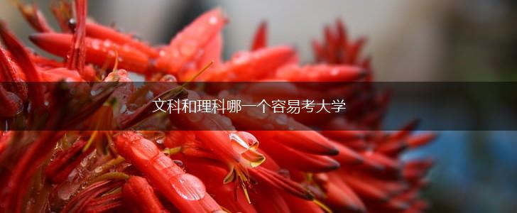 文科和理科哪一个容易考大学,第1张