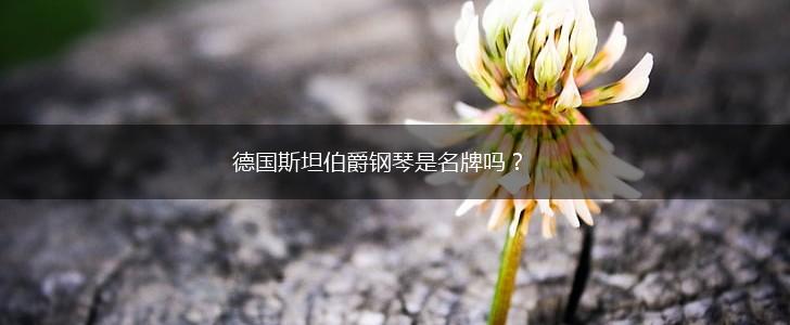 德国斯坦伯爵钢琴是名牌吗？,第1张