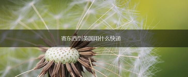 寄东西到英国用什么快递,第1张