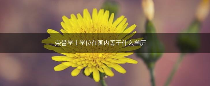荣誉学士学位在国内等于什么学历,第1张