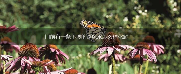 门前有一条下坡的路风水怎么样化解,第1张