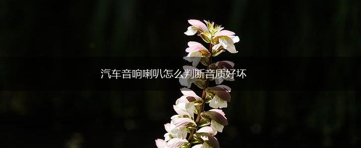 汽车音响喇叭怎么判断音质好坏,第1张