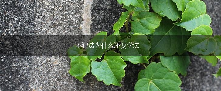 不犯法为什么还要学法,第1张