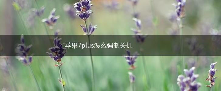 苹果7plus怎么强制关机,第1张