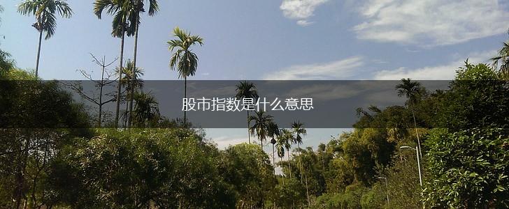股市指数是什么意思,第1张