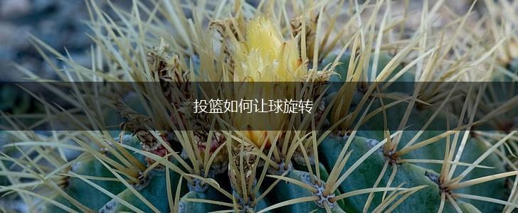 投篮如何让球旋转,第1张