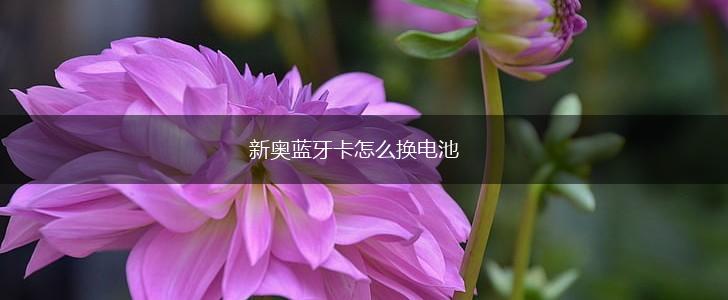 新奥蓝牙卡怎么换电池,第1张