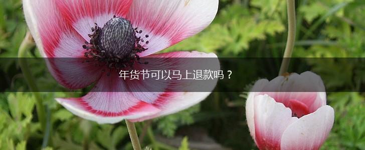 年货节可以马上退款吗？,第1张