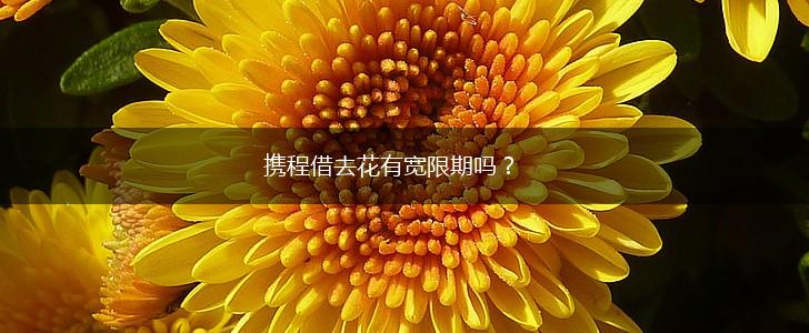 携程借去花有宽限期吗？,第1张