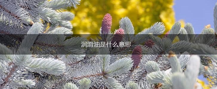 润滑油是什么意思,第1张