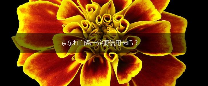 京东打白条一定要信用卡吗？,第1张