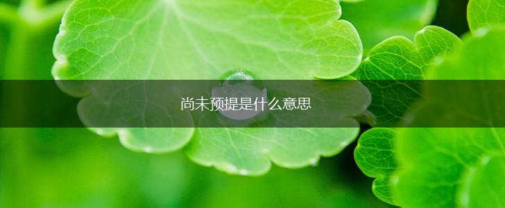 尚未预提是什么意思,第1张