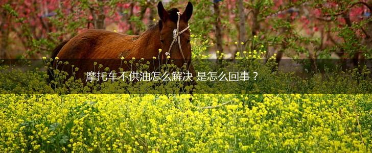 摩托车不供油怎么解决 是怎么回事？,第1张