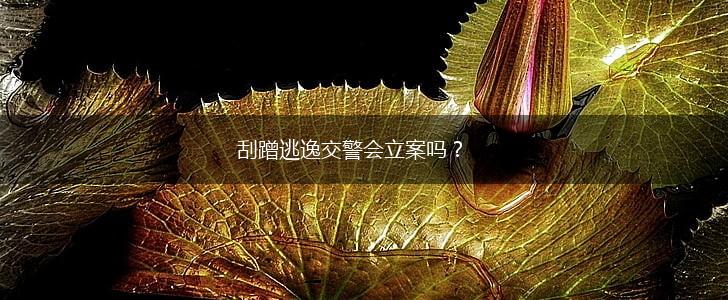 刮蹭逃逸交警会立案吗？,第1张