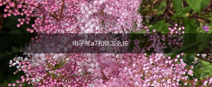 电子琴a7和弦怎么按,第1张