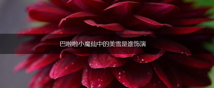 巴啦啦小魔仙中的美雪是谁饰演,第1张