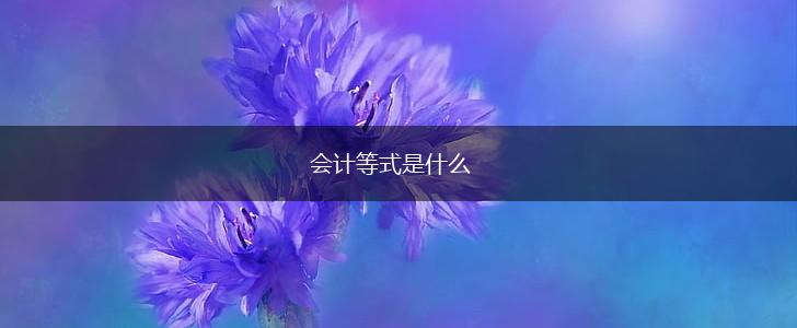 会计等式是什么,第1张