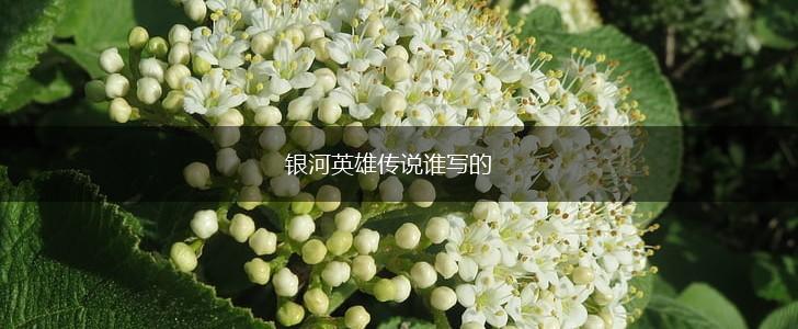 银河英雄传说谁写的,第1张