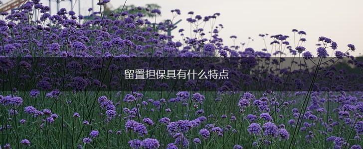 留置担保具有什么特点,第1张