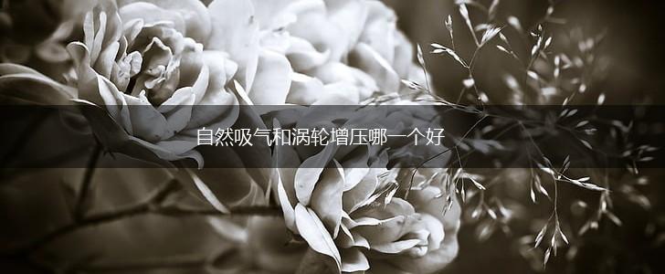 自然吸气和涡轮增压哪一个好,第1张