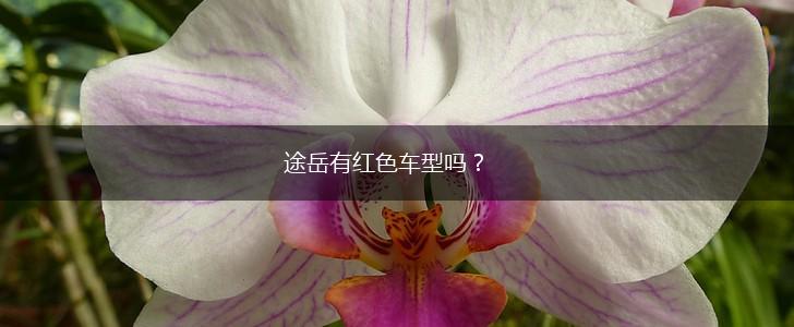 途岳有红色车型吗？,第1张